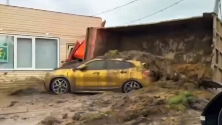 Captan en video cómo un camión cargado de estiércol “sepulta” a un BMW dorado