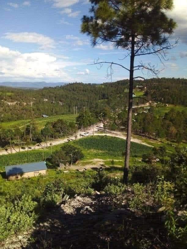Reportan 3 fallecidos tras enfrentamiento en Gpe. y Calvo, envían elementos a Mesa de San Rafael