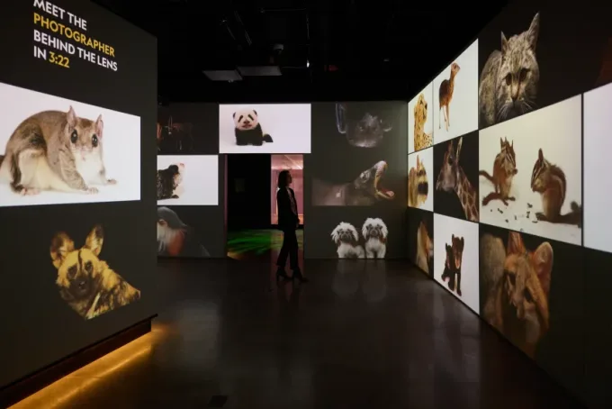 Museo de National Geographic permite revivir 138 años de exploración