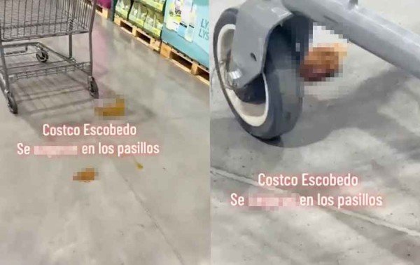 Del carrito al “accidente”: inauguran Costco y un inesperado incidente se roba los reflectores