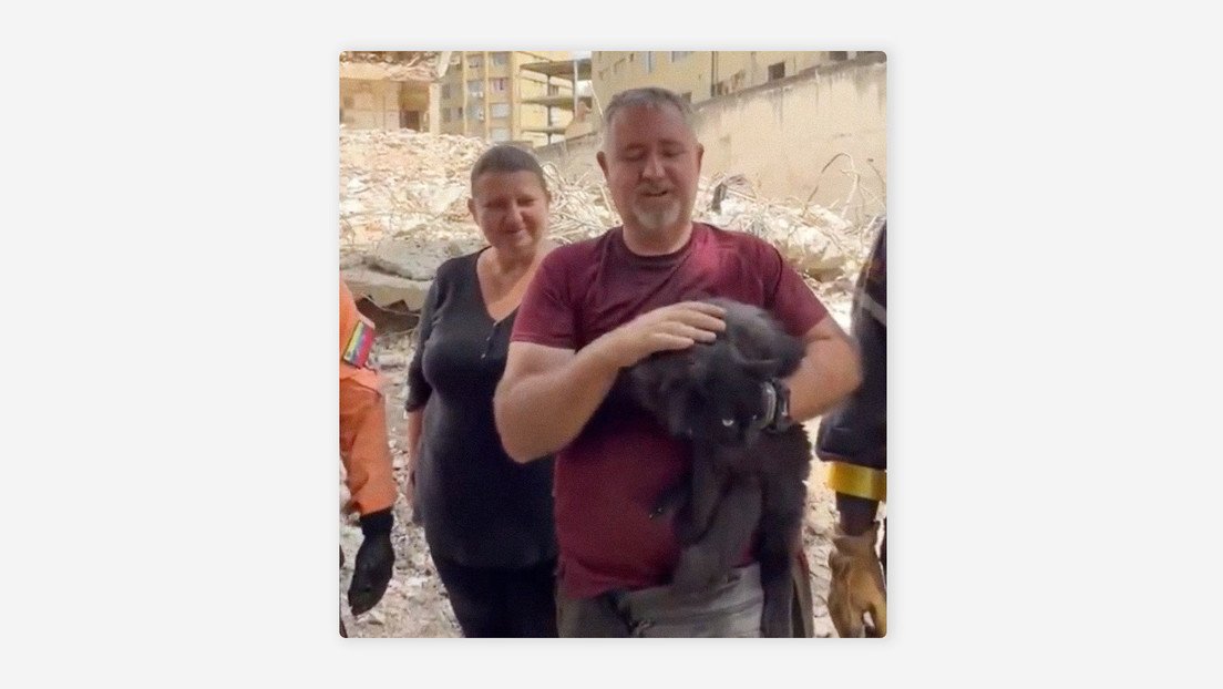 ¡Siete vidas! Rescatan a un gato entre los escombros de Caracas 33 días después de los terremotos