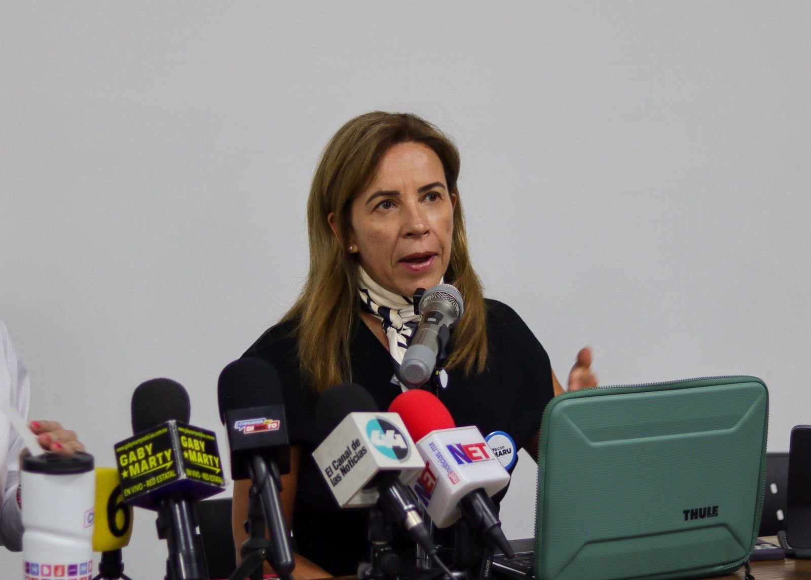 Incertidumbre del T-MEC afectará inversión y empleo por mal gobierno de Morena: Manque Granados