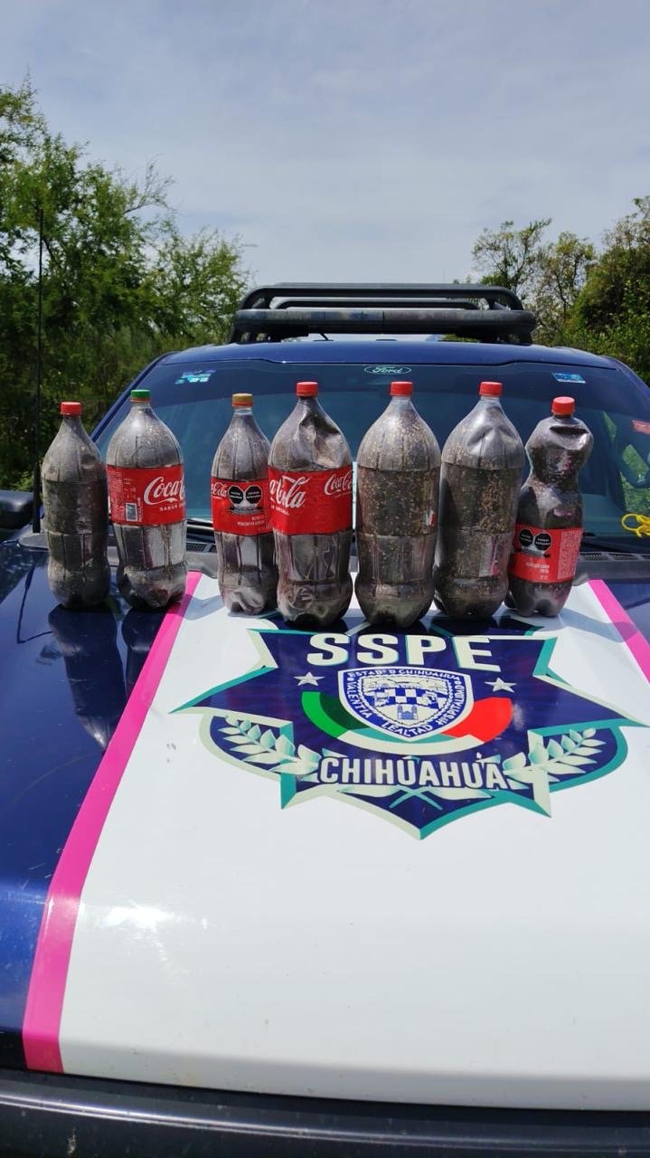 Asegura SSPE 18 kilos de semilla de amapola en Cinco Llagas