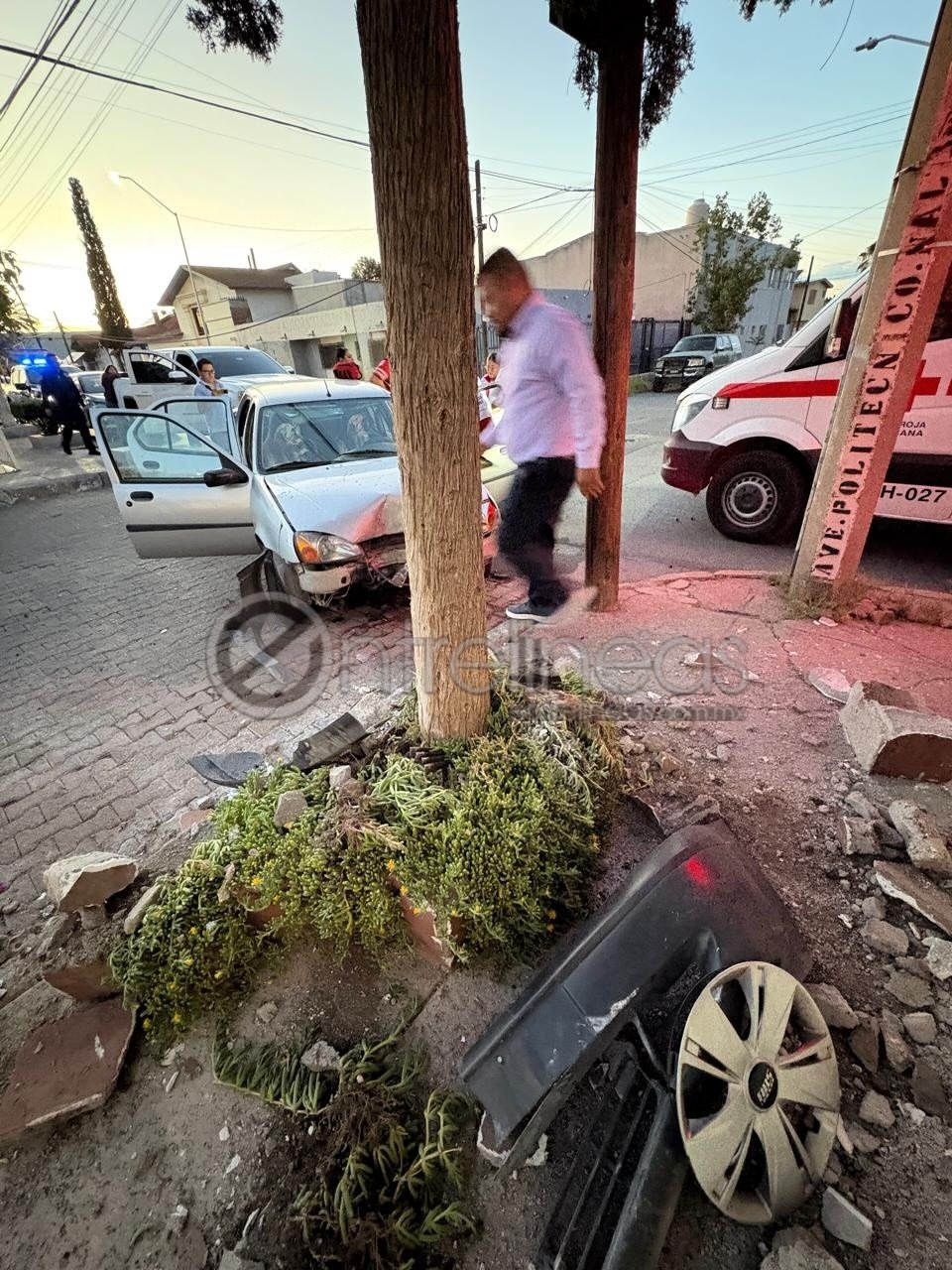 Mujer resulta lesionada tras choque contra un árbol en la avenida Politécnico Nacional