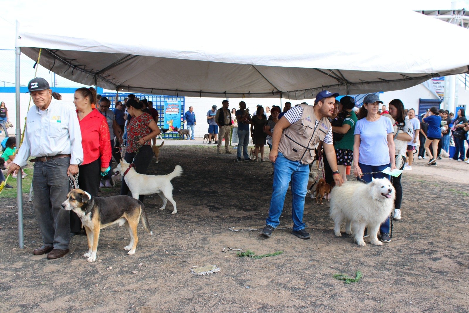 Fortalece Municipio protección animal con exitosa jornada en Parque Fundadores