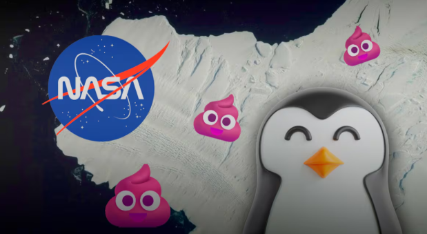 Sí, la NASA puede ver excrementos de pingüinos desde el espacio… y son rosados