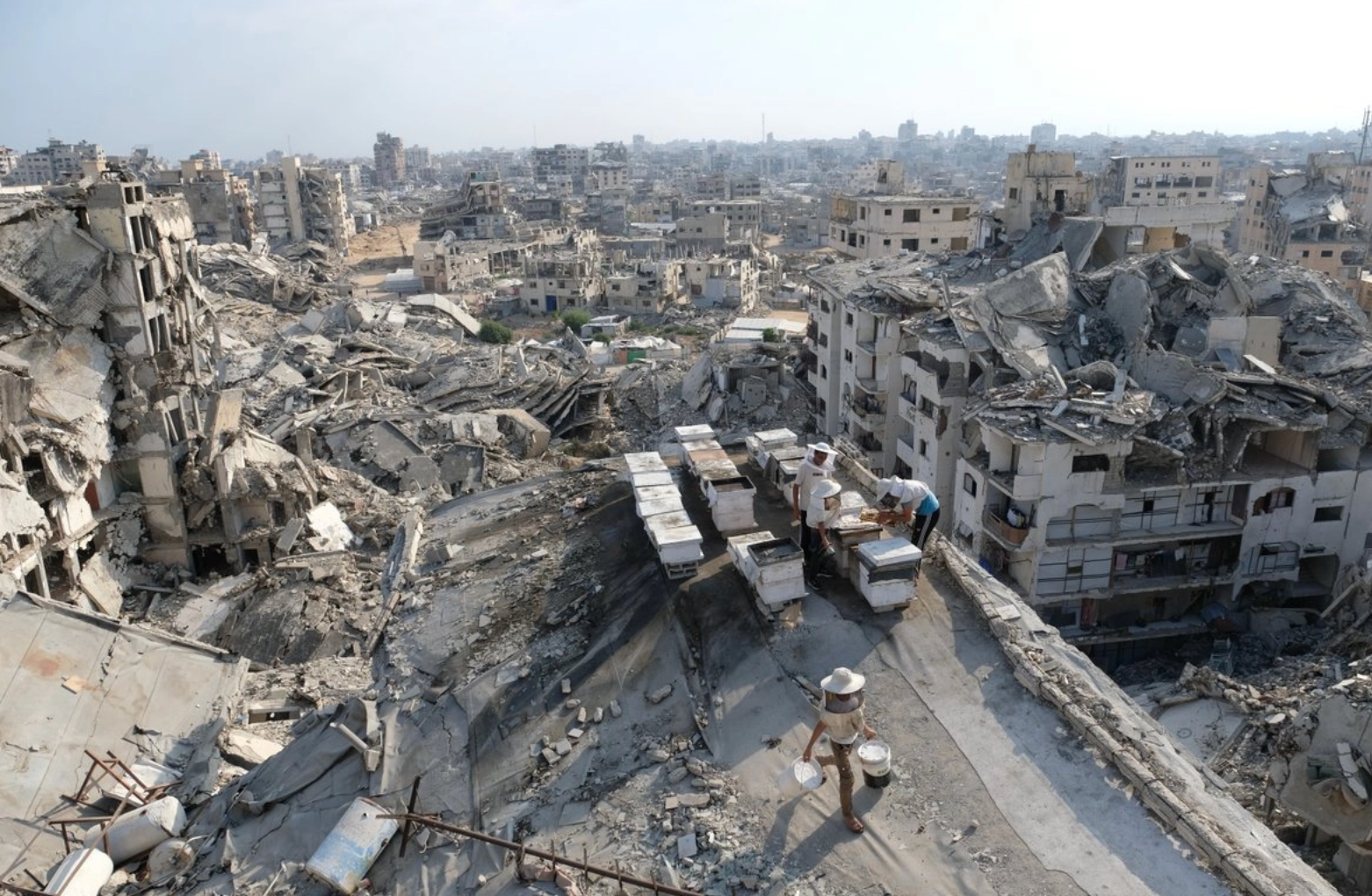 Junta de Paz de Trump emite su primer contrato para Gaza: un puesto militar que tendrá 150 tropas de Marruecos