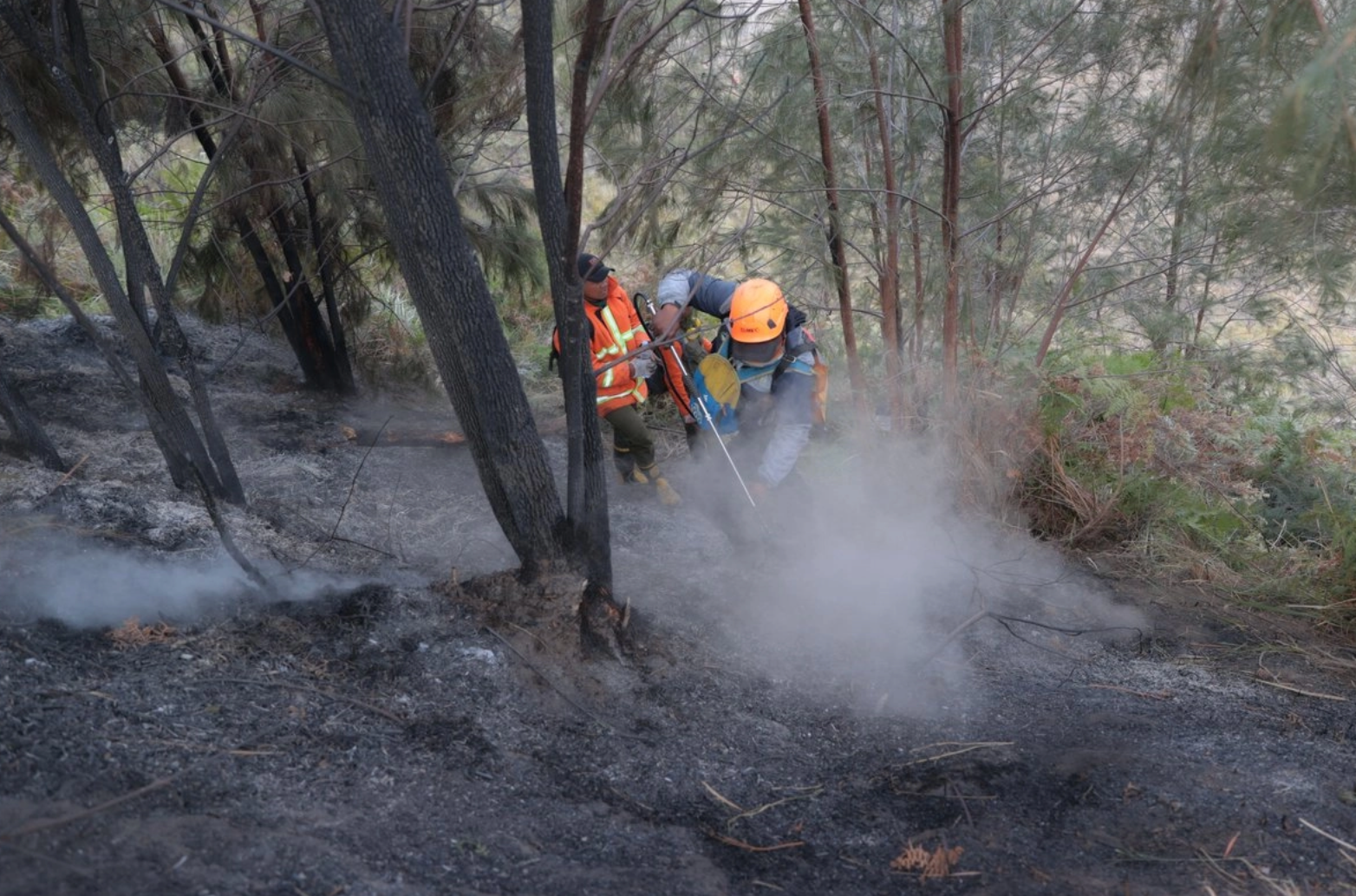 Cerca de 50 mil bomberos combaten incendios forestales en Indonesia; fenómeno de El Niño favorece sequía