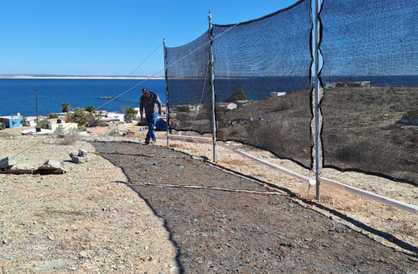 Expertos desarrollan tecnología para cosechar agua de la neblina