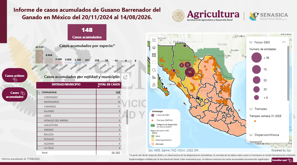 Reporta Senasica 148 casos de gusano barrenador en Chihuahua, 9 en perros y 1 en un gato