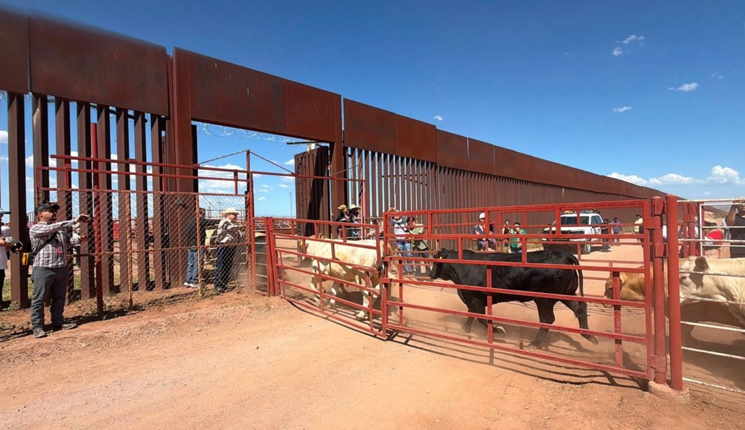 EU reabre frontera al ganado mexicano; Sader amplía método de moscas contra el gusano barrenador
