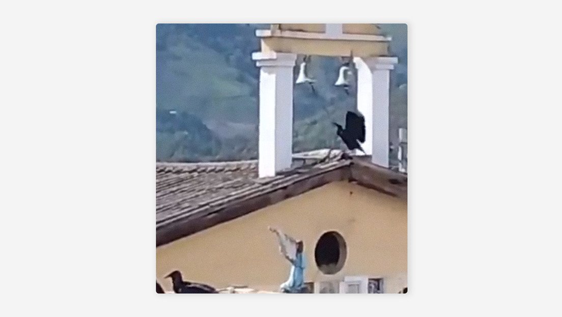 Captan a un buitre tocando la campana de una iglesia tras el fuerte sismo que sacudió a Colombia