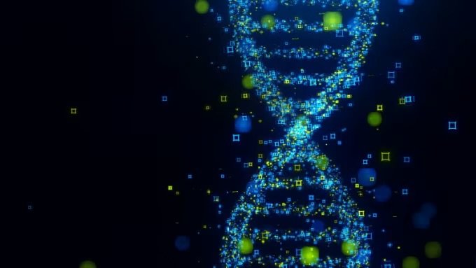 Estudio sugiere que humanos modernos conservan ADN de un antiguo “linaje fantasma”