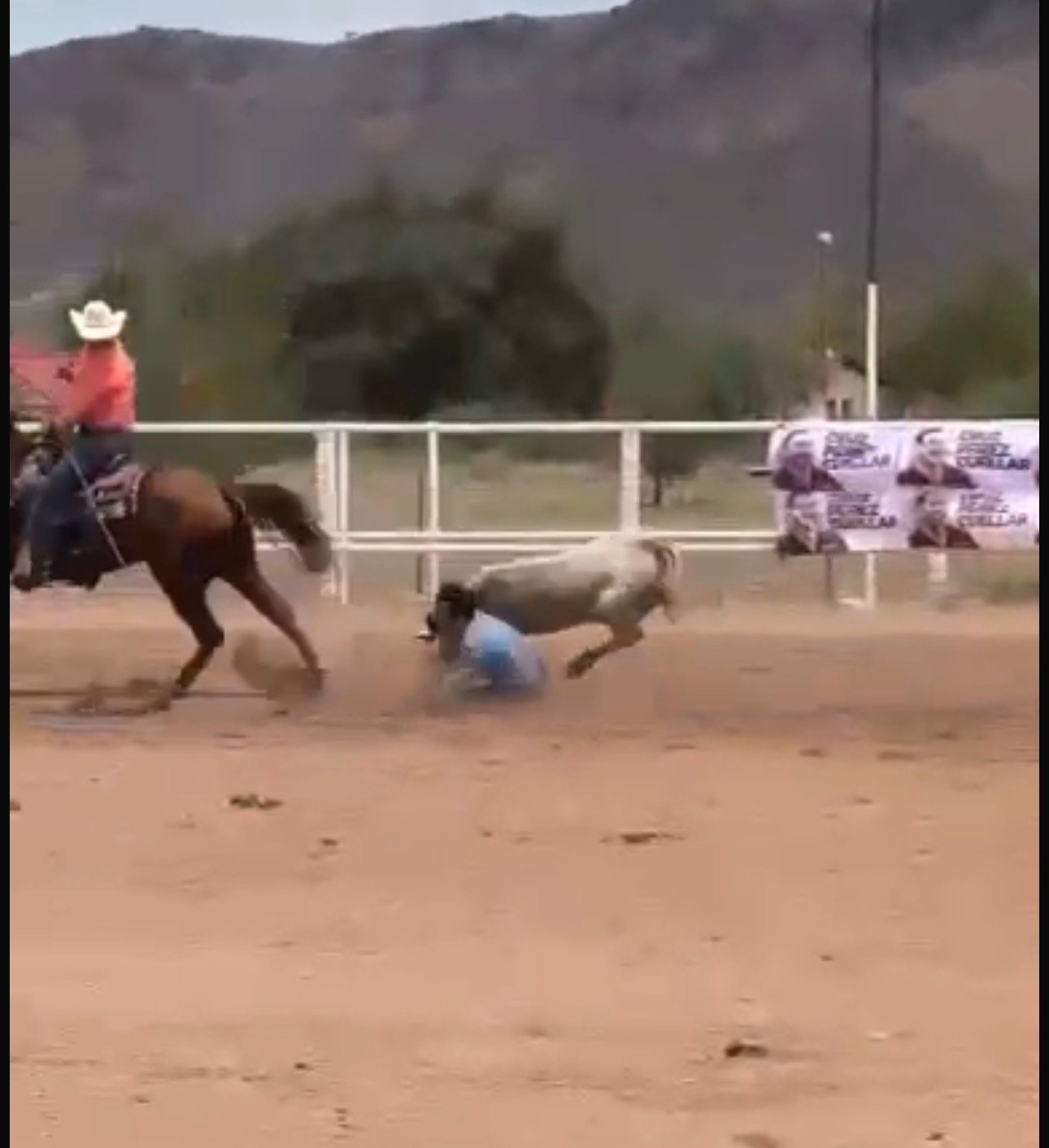 Confirman que no hubo permisos para evento de rodeo en favor de Pérez Cuéllar, un jinete grave
