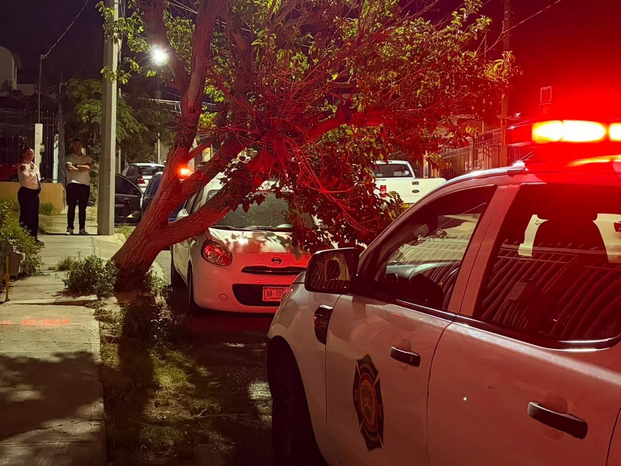 Árbol cae sobre vehículo estacionado en la colonia Campestre