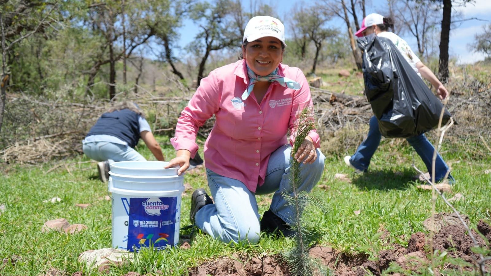 Reforestan Estado y Súper Copa Roshfrans 5 mil árboles en Cumbres de Majalca