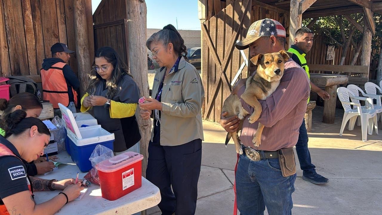 Reconoce Secretaría de Salud labor de Médicos Veterinarios Zootecnistas en protección de la salud pública