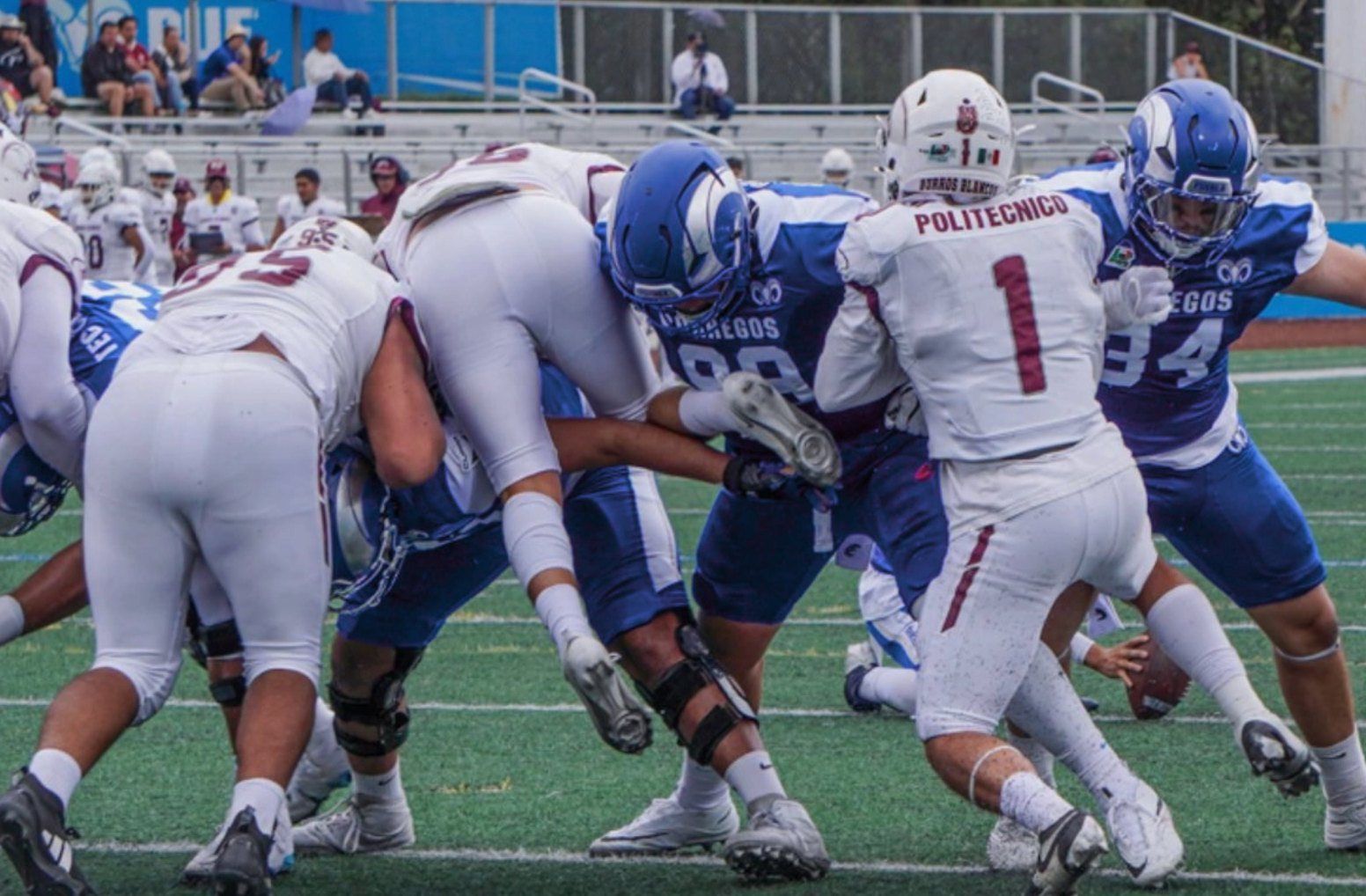 Borregos de Puebla aplastan 54-14 a los Burros Blancos del IPN