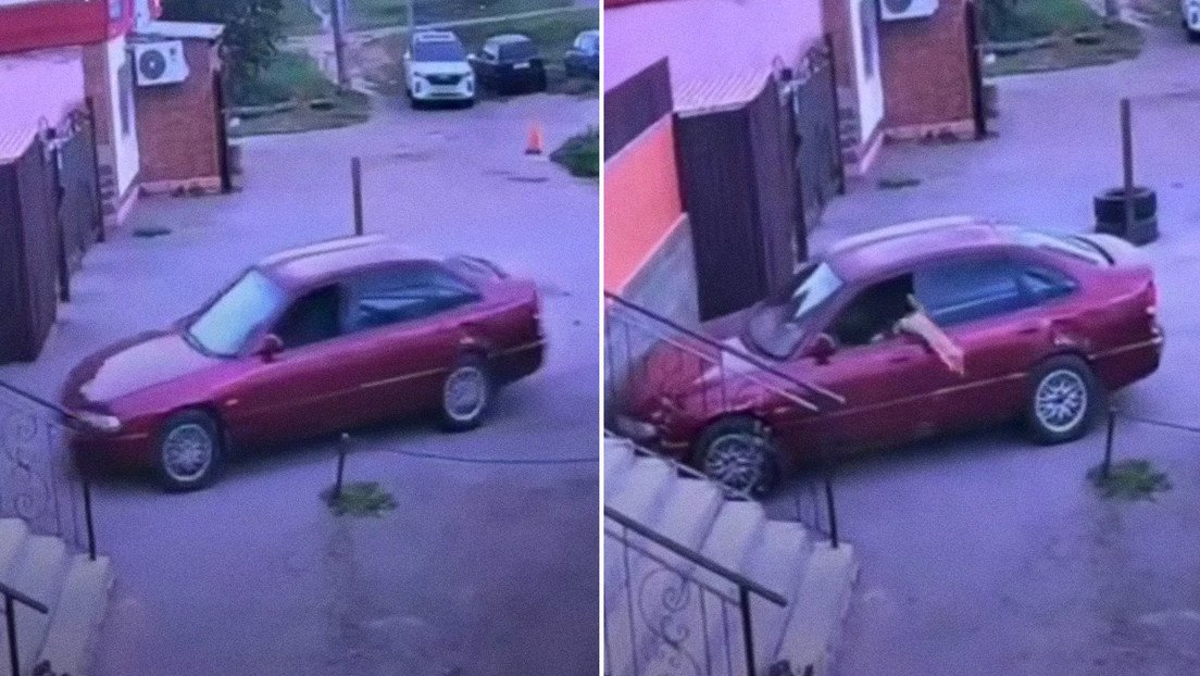 Un gato se sube a un auto, lo desplaza y termina por chocar contra una valla