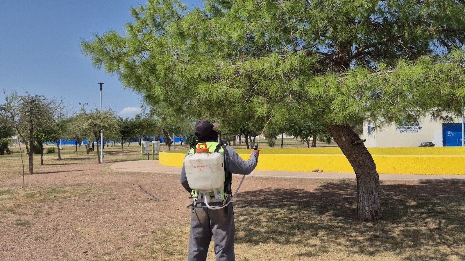 Mantiene Gobierno Municipal fumigaciones diarias en parques y espacios públicos de Chihuahua Capital