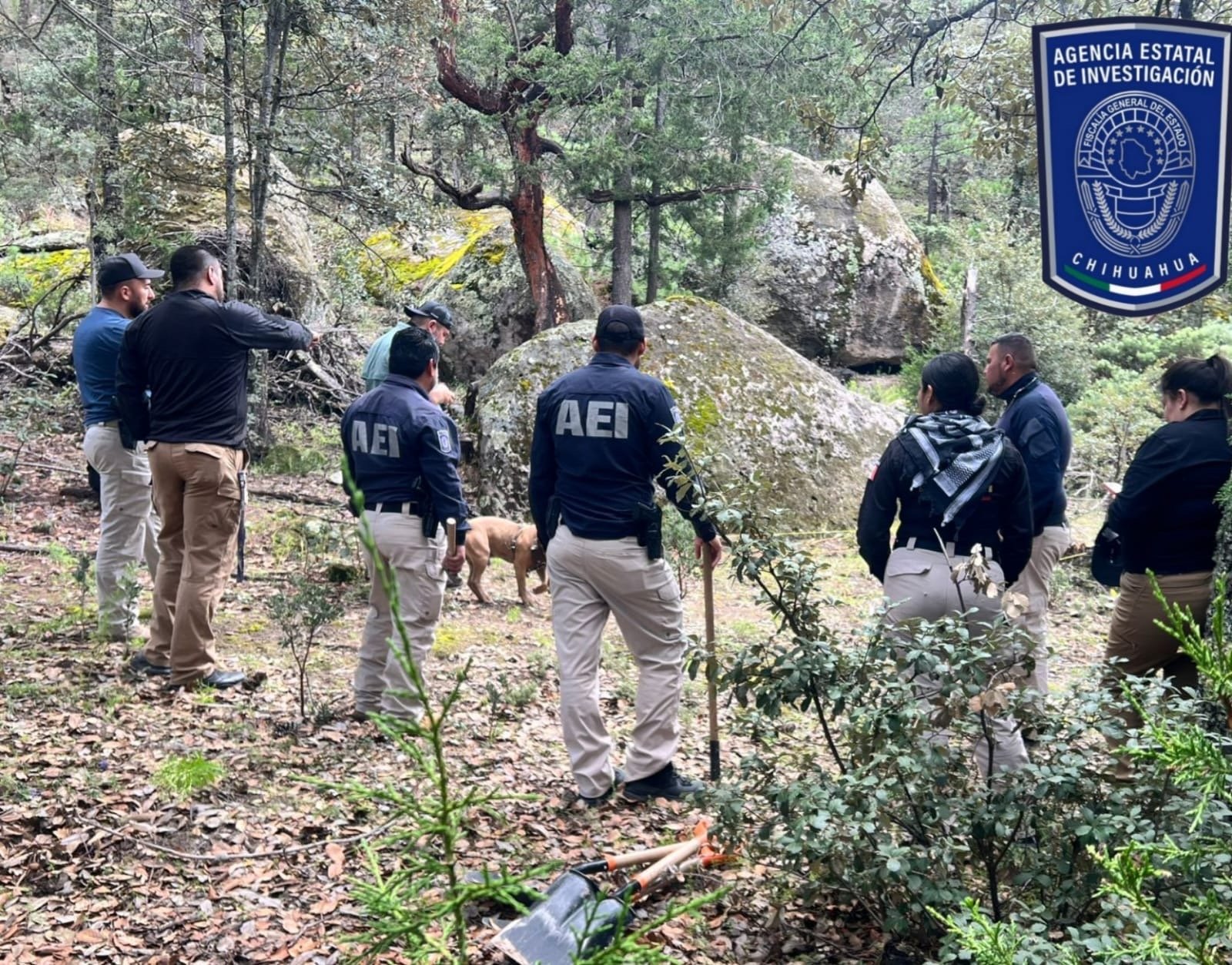 Localizan restos calcinados y casquillos percutidos en Balleza - Entre Líneas - Noticias de Chihuahua