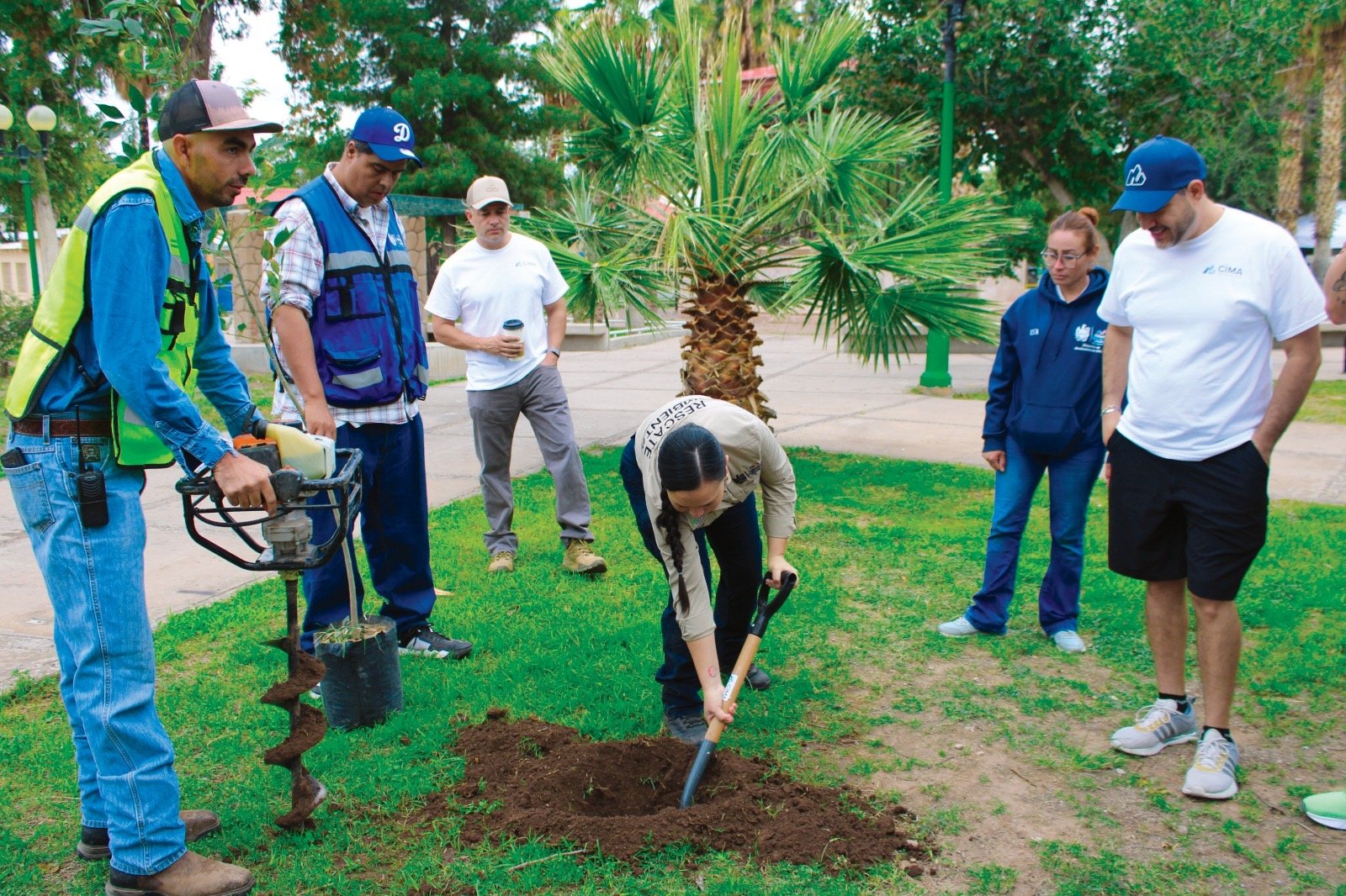 Refuerza Gobierno Municipal áreas verdes del Parque Lerdo con 108 nuevos árboles