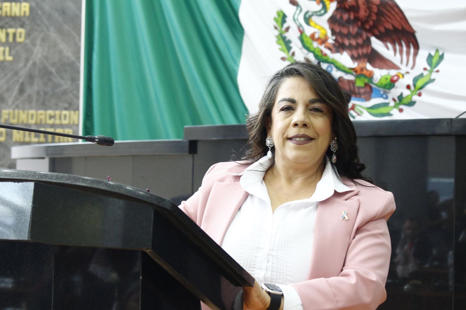Pide Magdalena Rentería al IEE investigar propaganda anti4T y prevenir la “cosificación” de las mujeres en la política