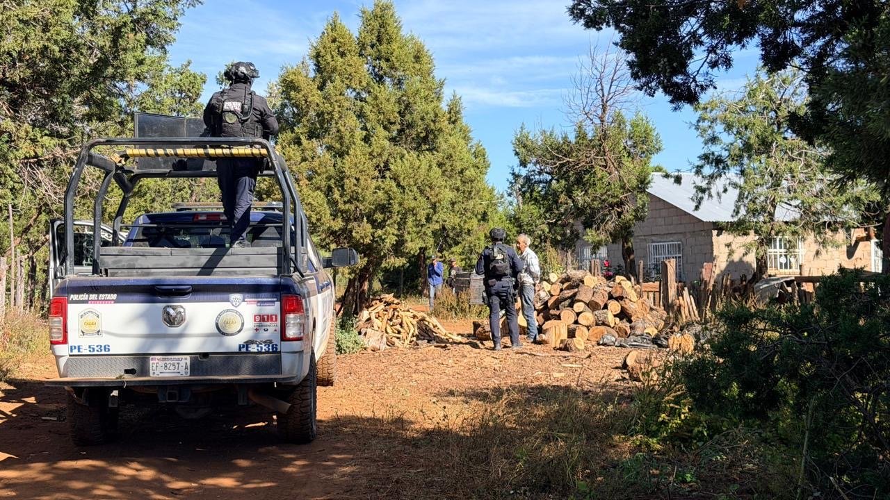 Localiza SSPE campamento improvisado, dos vehículos calcinados e indicios balísticos en Madera