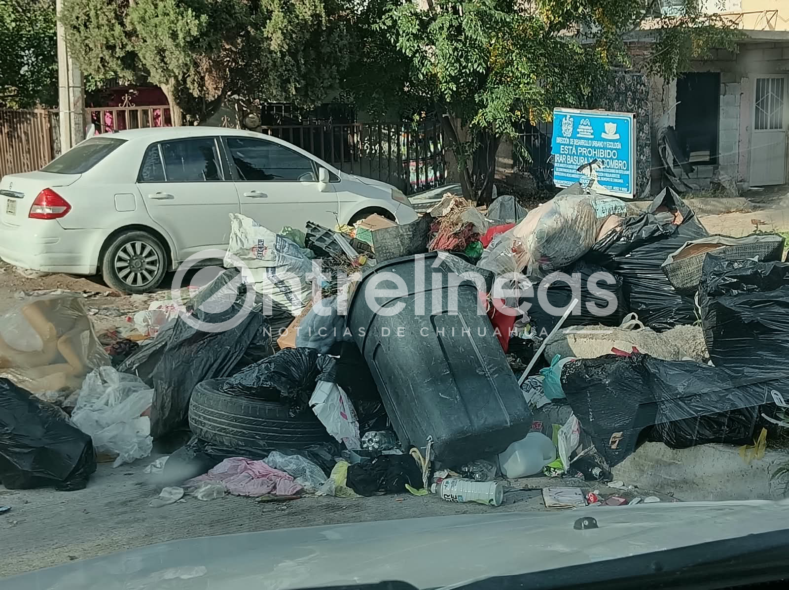 Llama alcalde a denunciar terrenos baldíos con basura y maleza; advierte multas