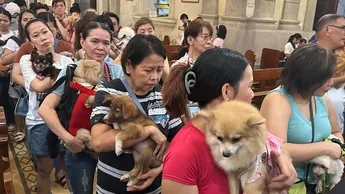 Bendicen a mascotas por el día de San Francisco de Asís