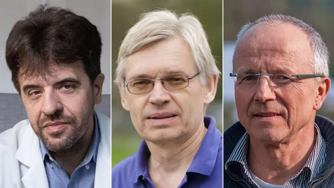 Otorgan el Premio Nobel de Medicina a tres científicos por una técnica que ayuda a descifrar los misterios del cerebro