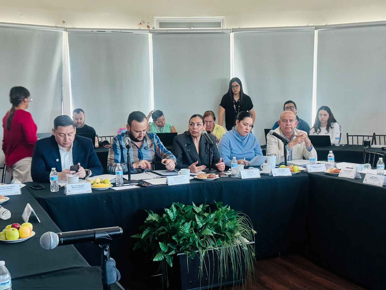 “Es un proyecto y siempre actuamos dentro de nuestras facultades”: Yanko por propuesta de designar candidatas en 23 municipios