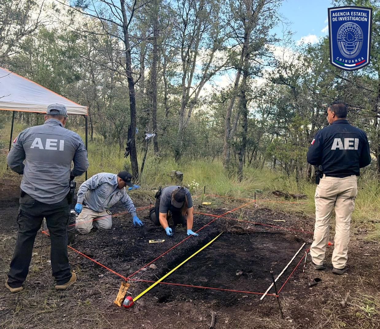 Localizan fragmentos óseos calcinados en La Norteña