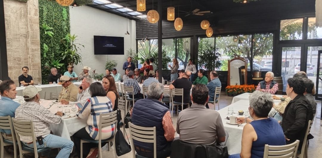 Inician cosecha de nuez en Aldama; apuestan por tecnología y trazabilidad para el mercado internacional